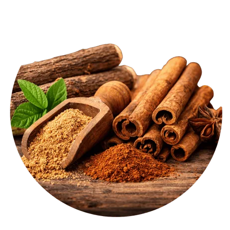 Brain Flow Support Complex